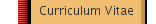 Curriculum Vitae